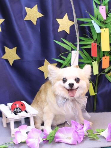 20230720クッキーくん